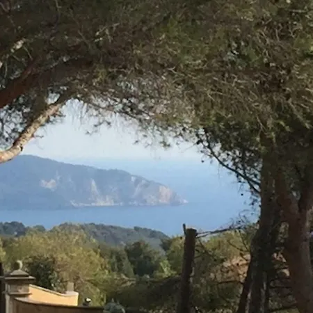 La Louisiane Villa La Ciotat Buitenkant foto